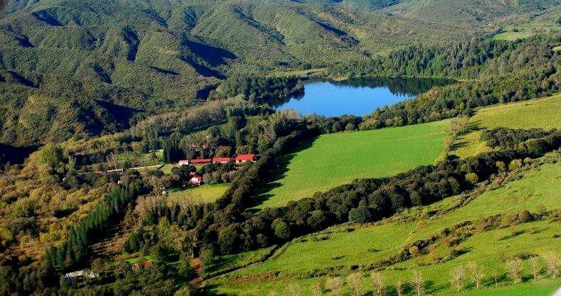 An aerial view of a lake surrounded by mountains and trees.