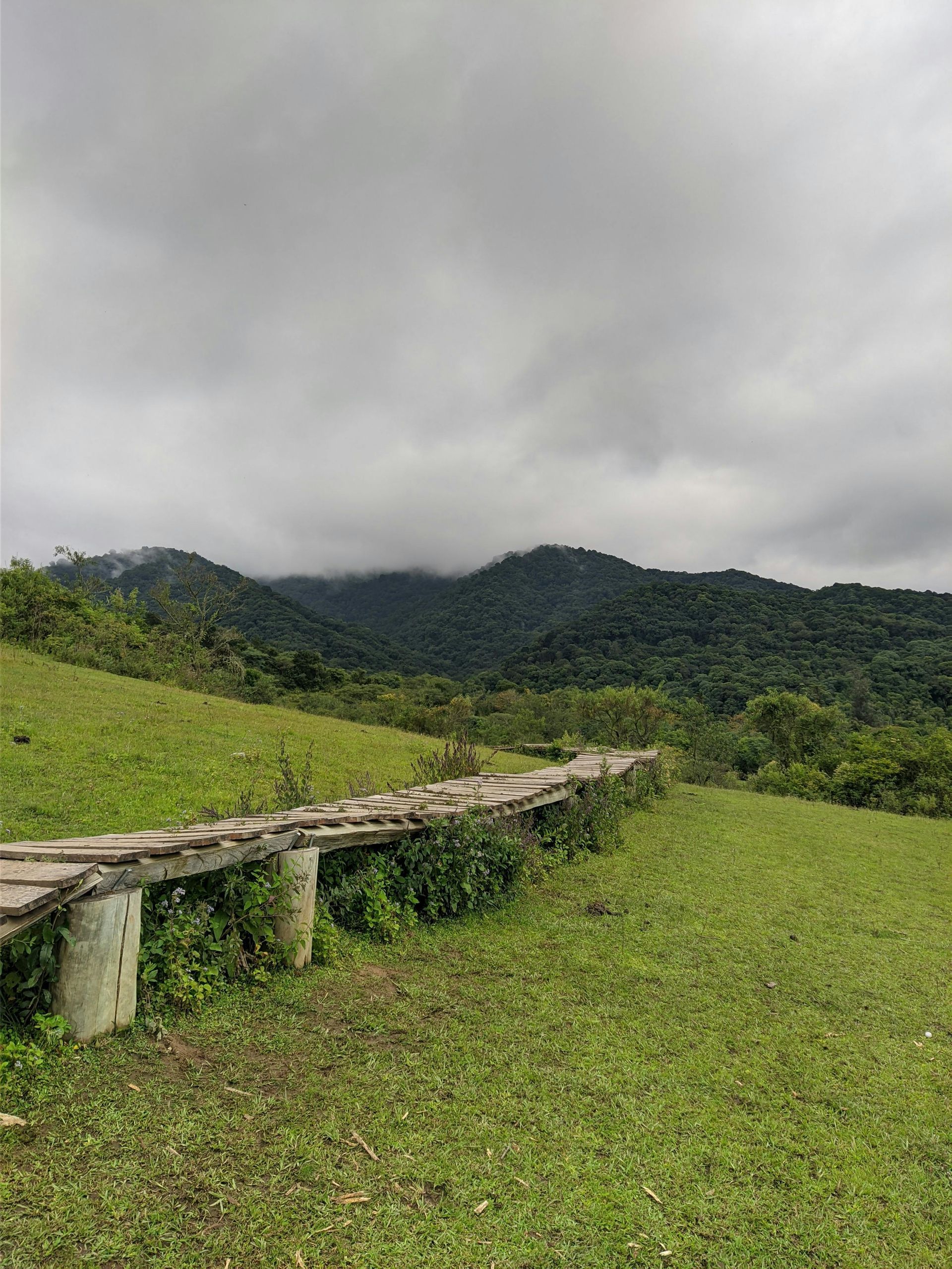 A wooden walkway leading to a grassy hillside with mountains in the background.