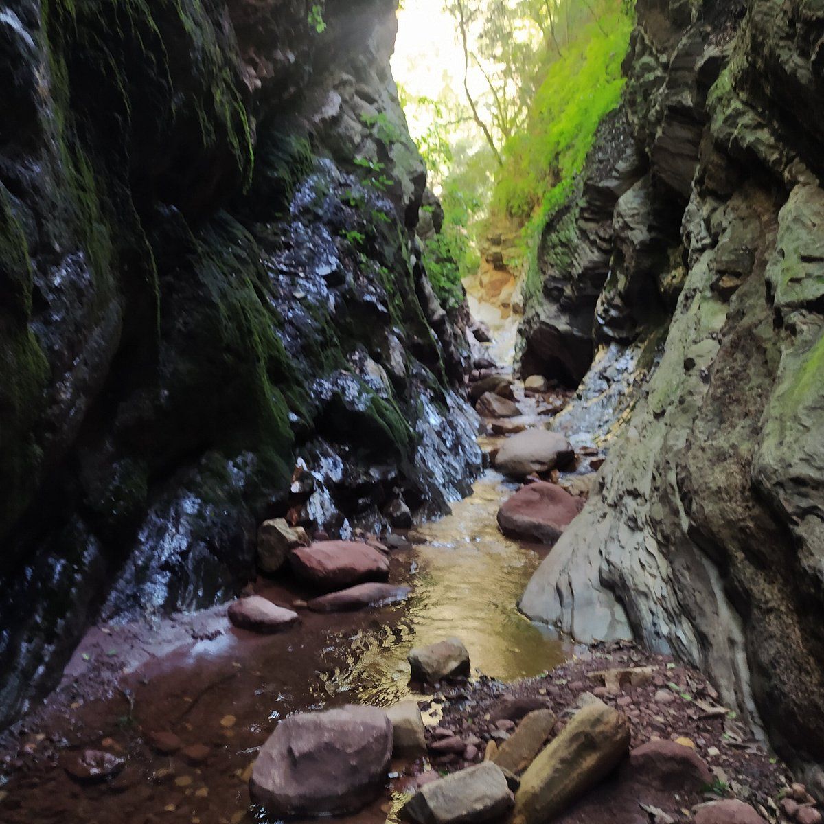 A stream running through a narrow canyon surrounded by rocks