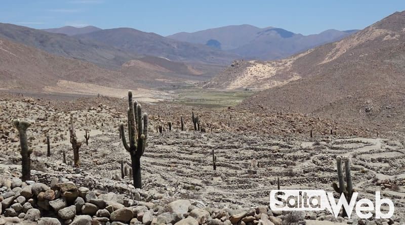 A desert landscape with salta web written on the bottom