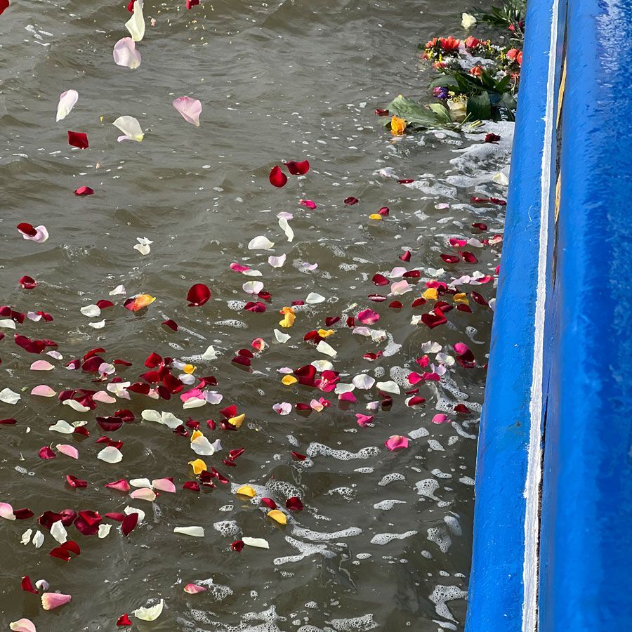 Rosenblätter schwimmen im Meer