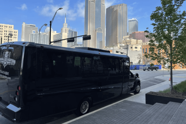 A black bus is parked on the side of the road in front of a city skyline.