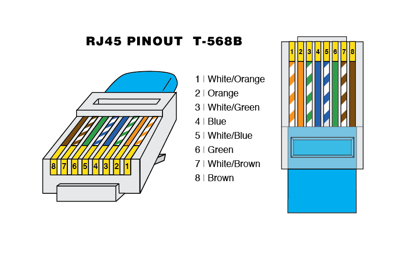 Network Cable