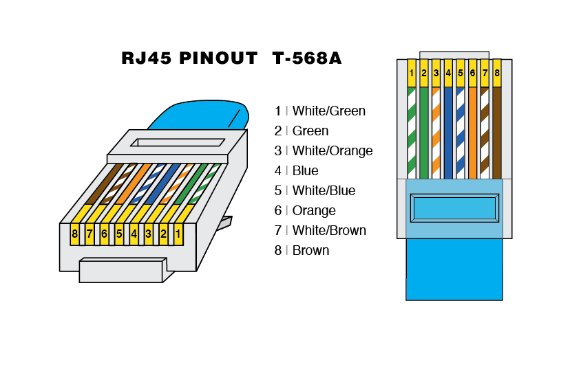 Network Cable