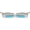 A pair of cables with blue connectors on a white background.