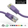 A pair of purple ethernet cables on a white background.