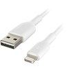 A white usb cable with a lightning connector on a white background.