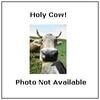 A picture of a cow with horns is not available.