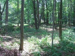 deer fence installers