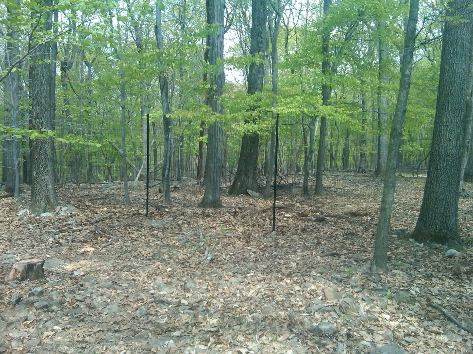 deer fence installers