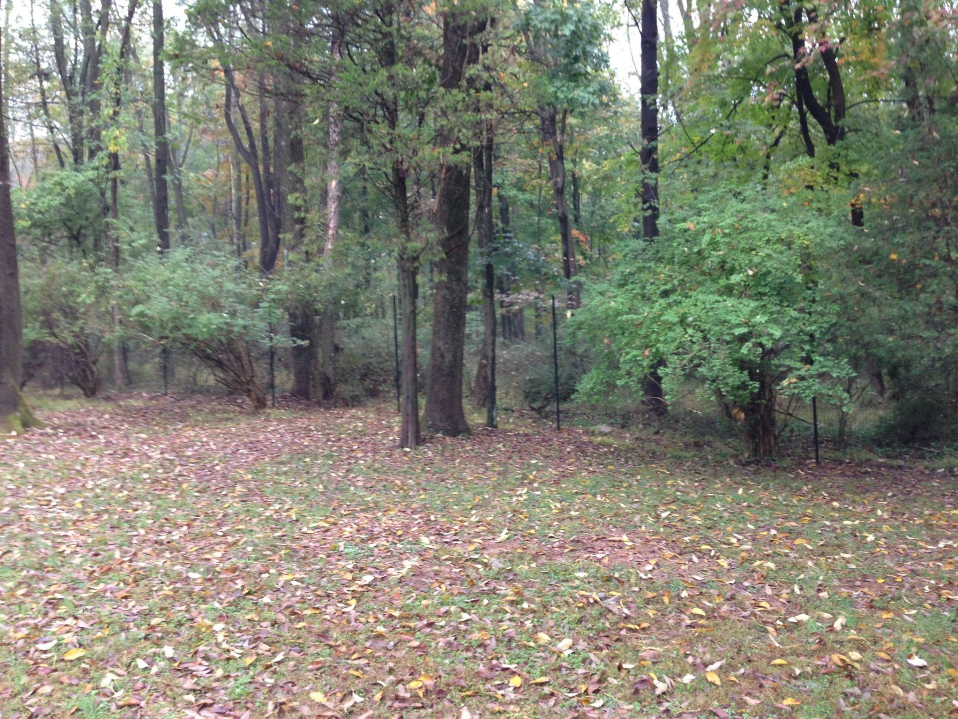 deer fence installers