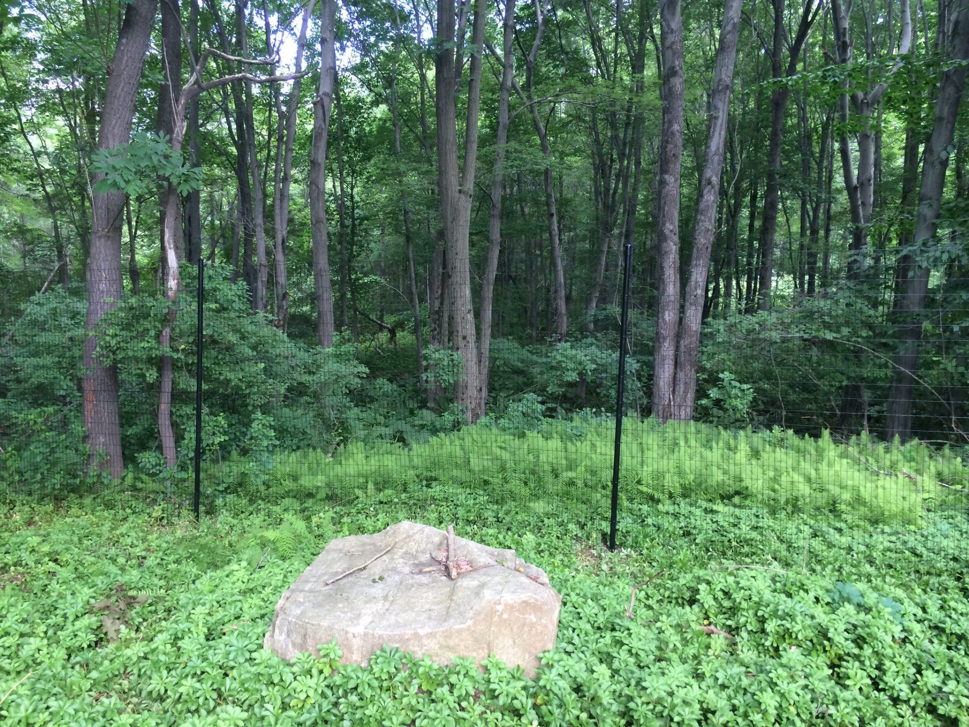 deer fence installers