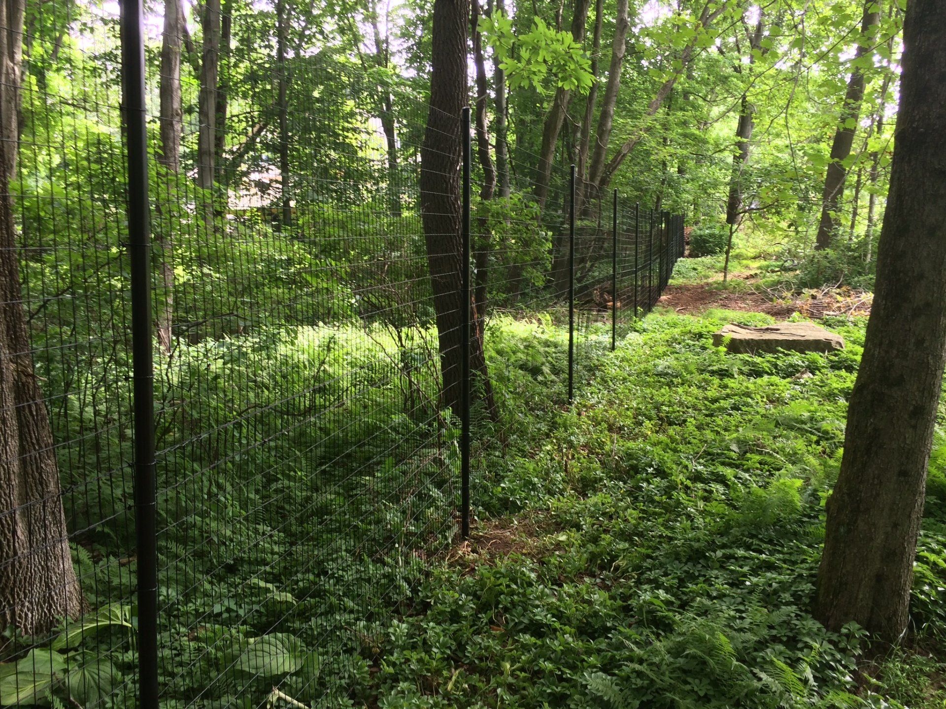 deer fence installers