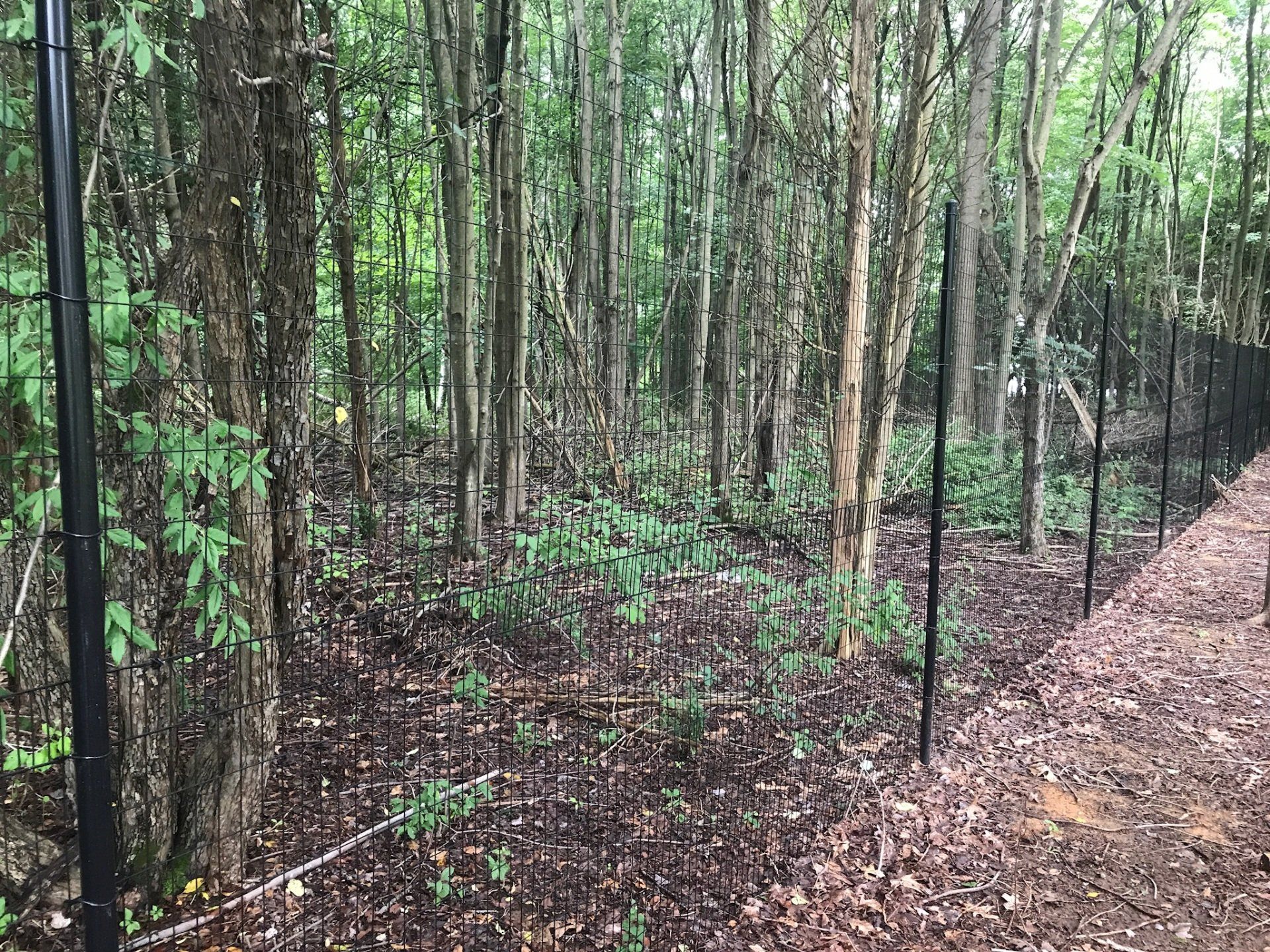 deer fence installers