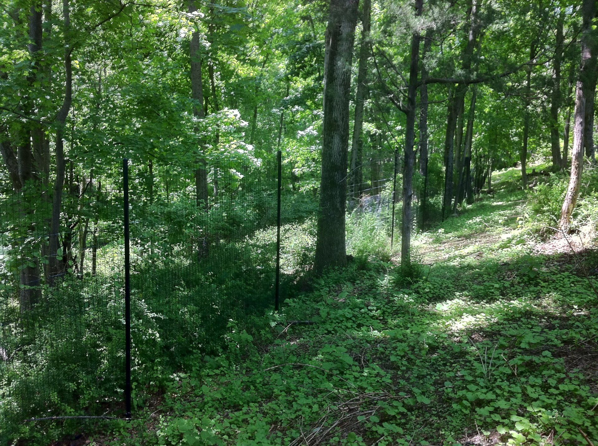 deer fence installers