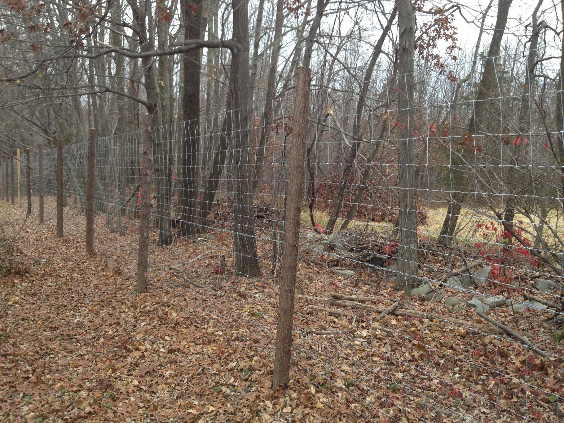 deer fence installers