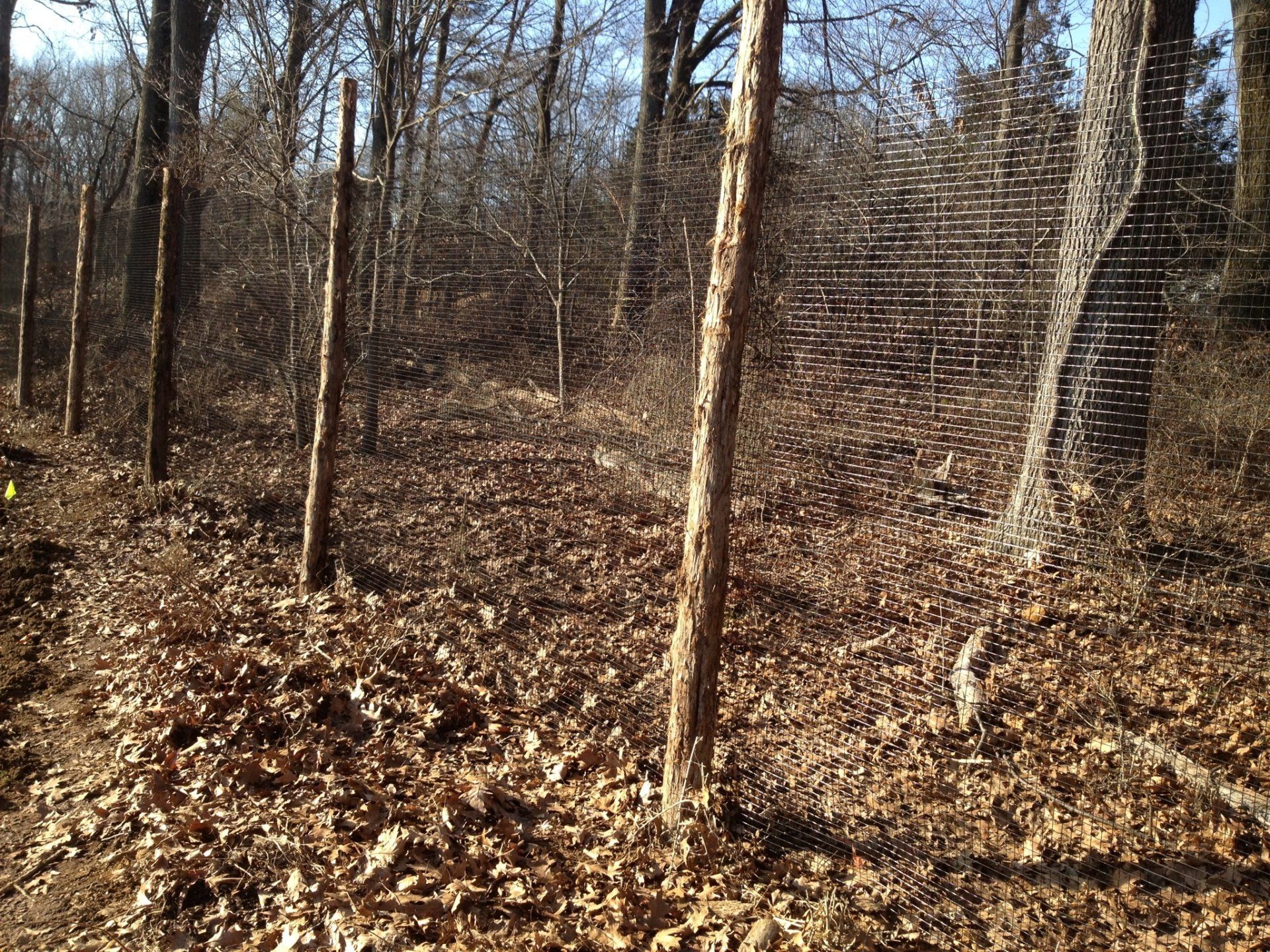 deer fence installers