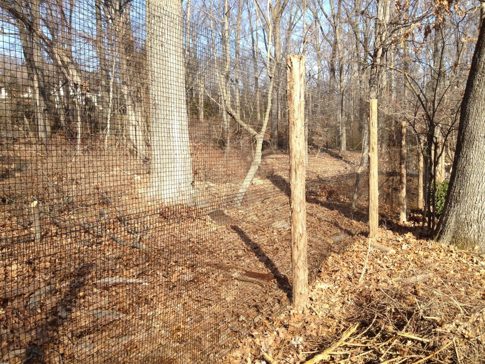 deer fence installers