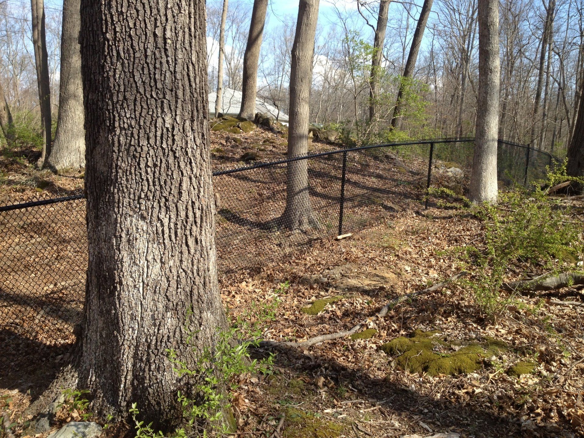 deer fence installers