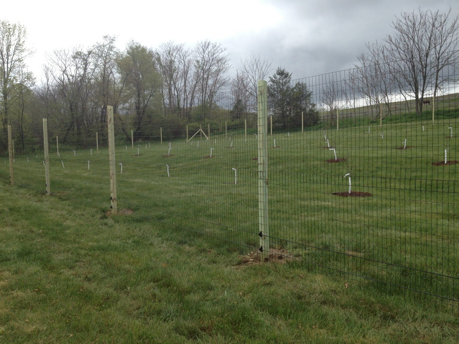 deer fence installers