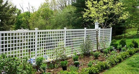white fence with plants