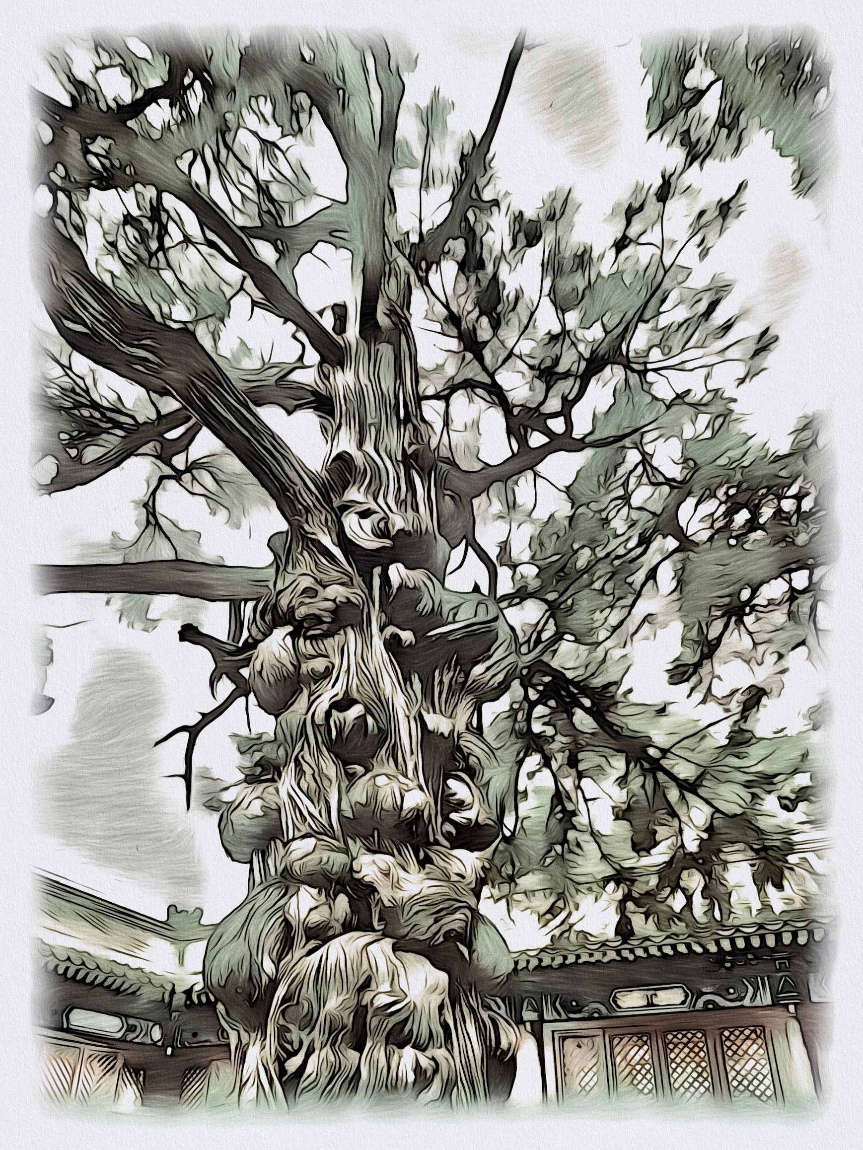 Dunkelheit und Liebe, Gedichte, Liebesgedichte, Geschenk, Buch