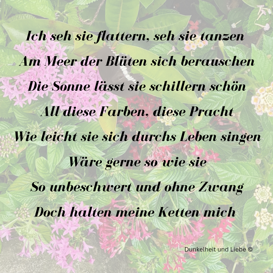 Dunkelheit und Liebe, Gedichte, Liebesgedichte, Geschenk, Buch