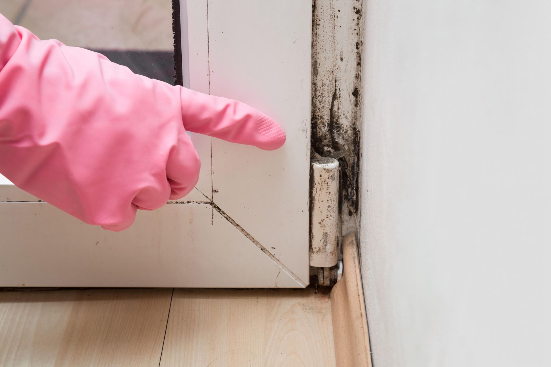 A person wearing pink gloves is pointing at a window with mold on it.