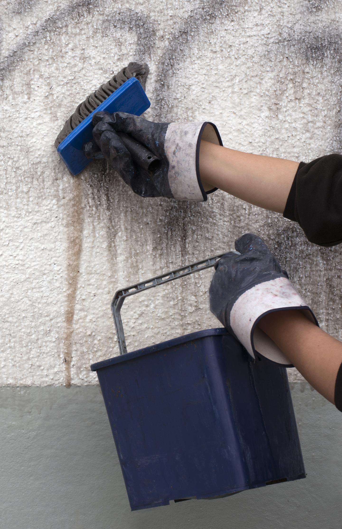 A person is cleaning a wall with a brush and bucket.