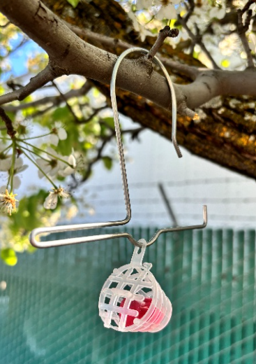 A pair of earrings hanging from a tree branch.