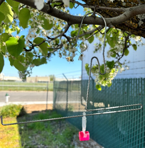 A bird feeder is hanging from a tree branch
