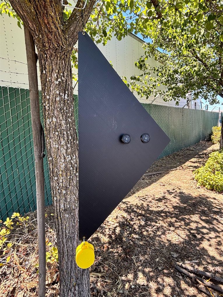 A yellow and white triangle is hanging from a tree branch.