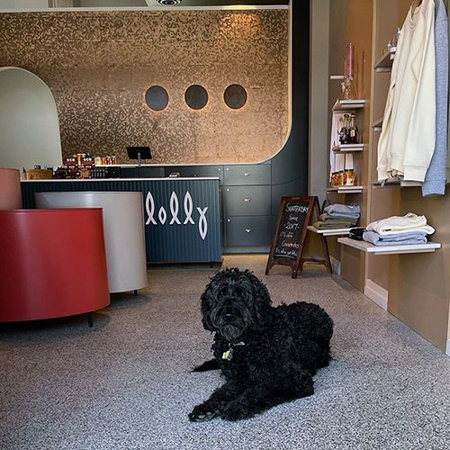 A black curly-coated dog lies on a speckled floor inside a modern boutique with a gold-textured wall and clothing racks.