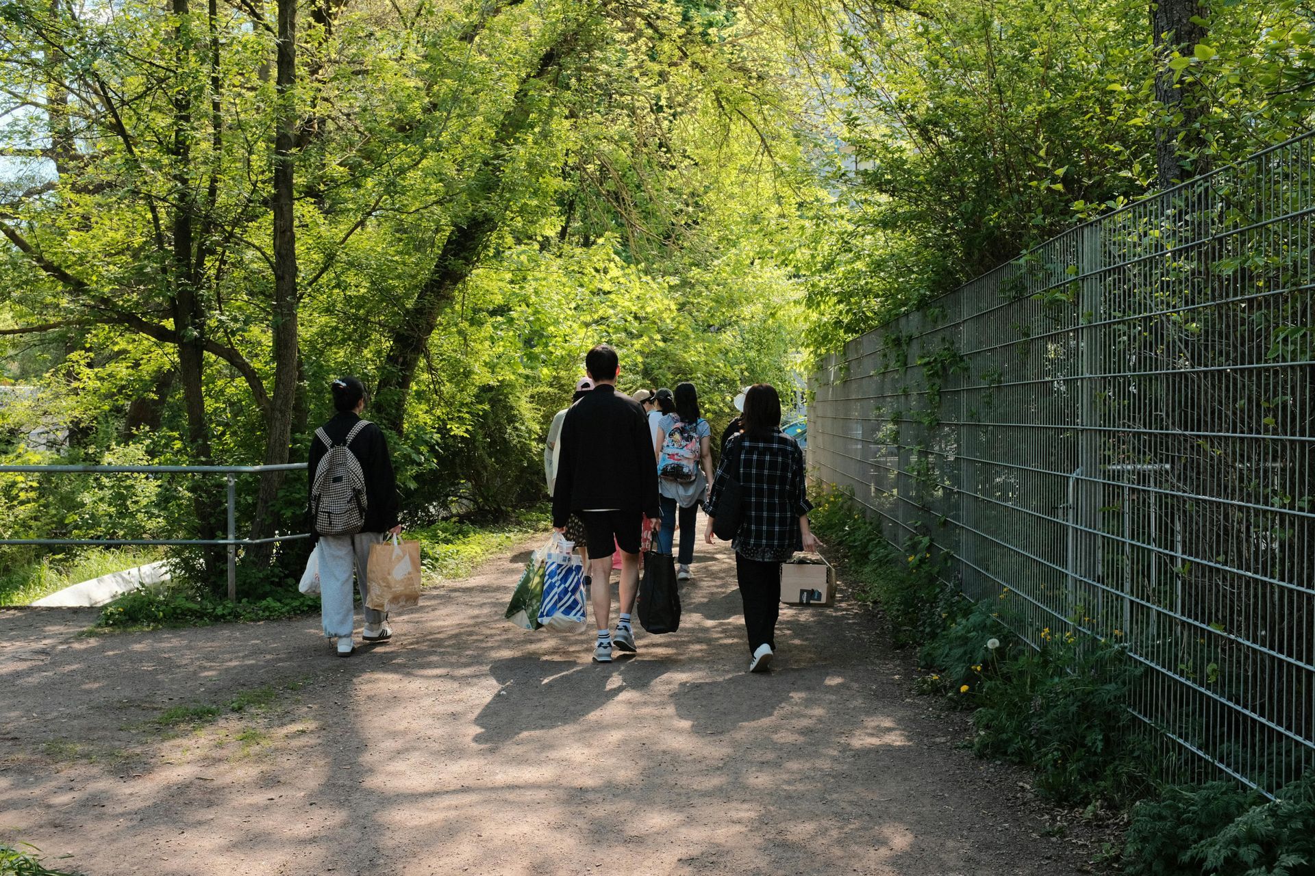 En gruppe mennesker går ned ad en sti i skoven.
