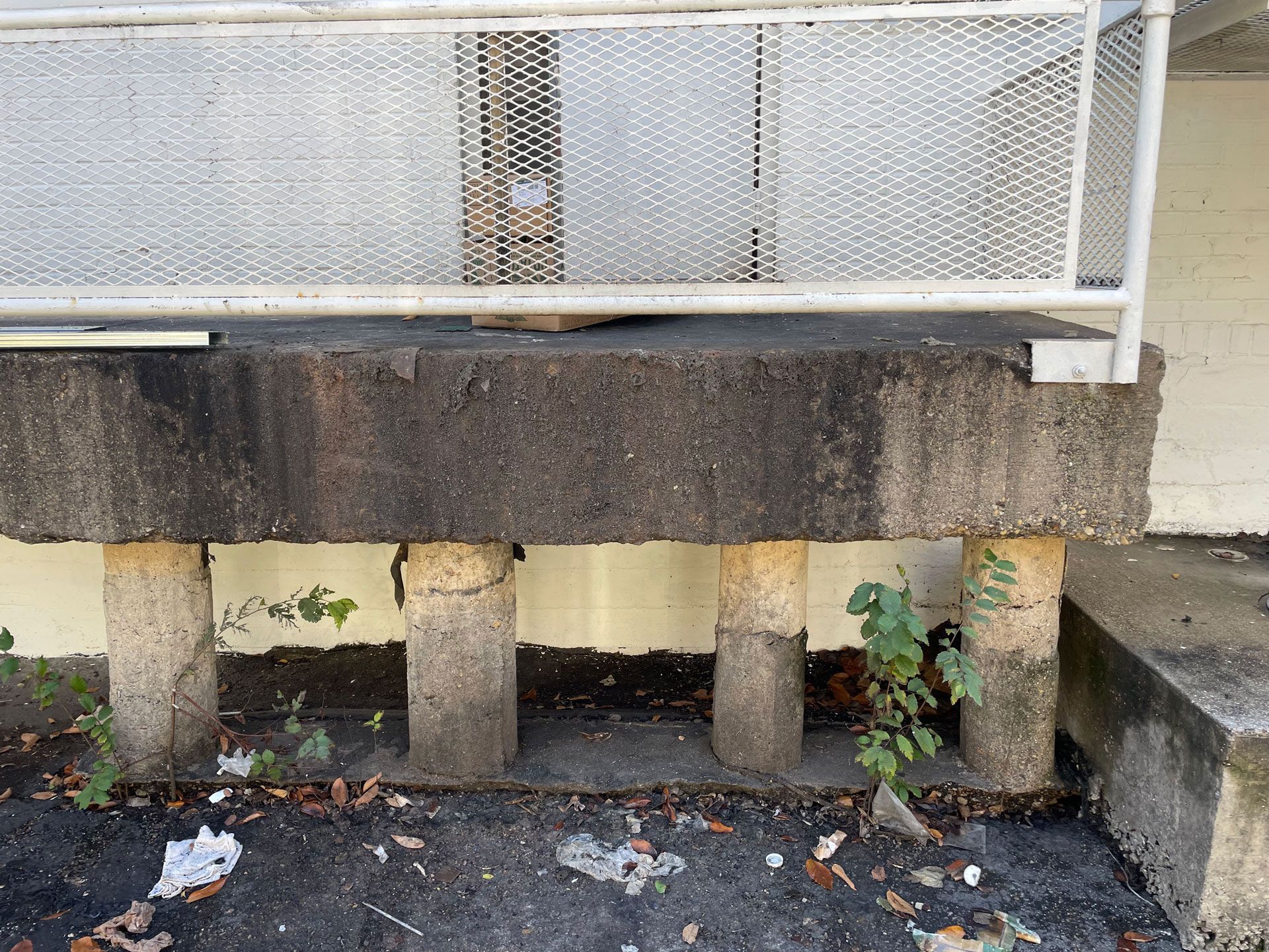 Dirty Backdoor Entrance – Fort Worth, TX – Dorsal Professional Services