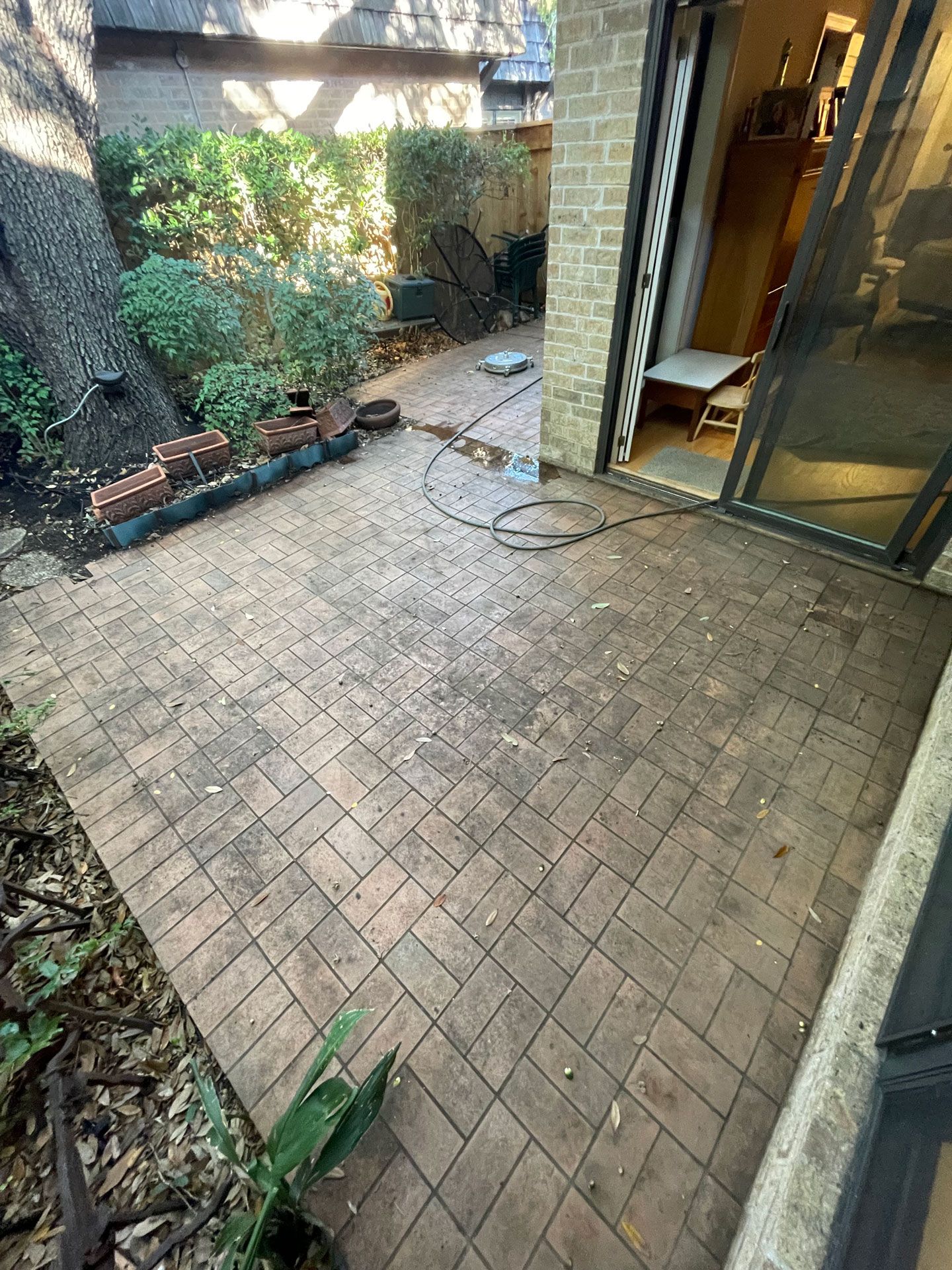 Dirty Backyard – Fort Worth, TX – Dorsal Professional Services
