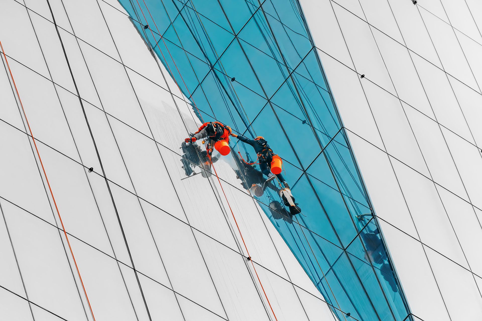 A group of people are working on the side of a tall building.