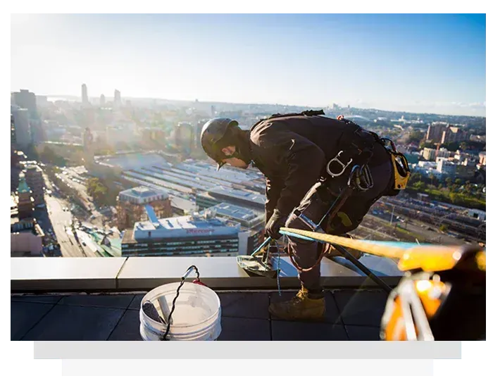 gutter and roof cleaning