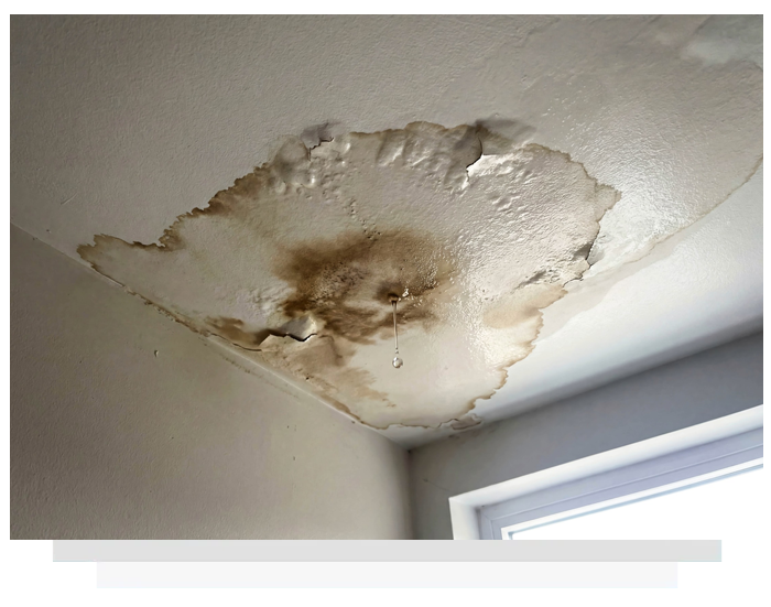 Water-damaged ceiling with peeling paint, showing brown staining and bubbling, in a corner of a room.