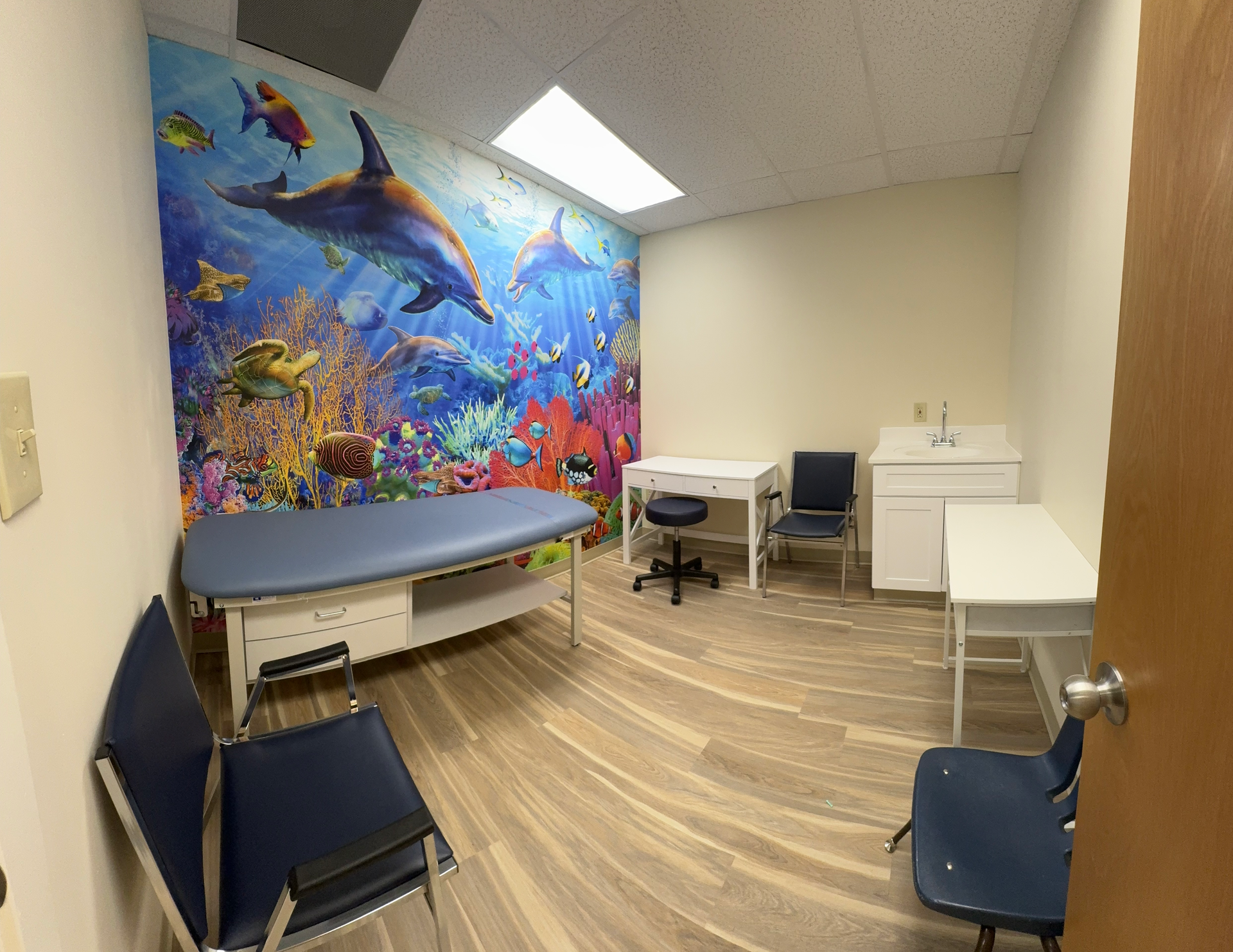 A doctor 's office with a painting of dolphins on the wall.