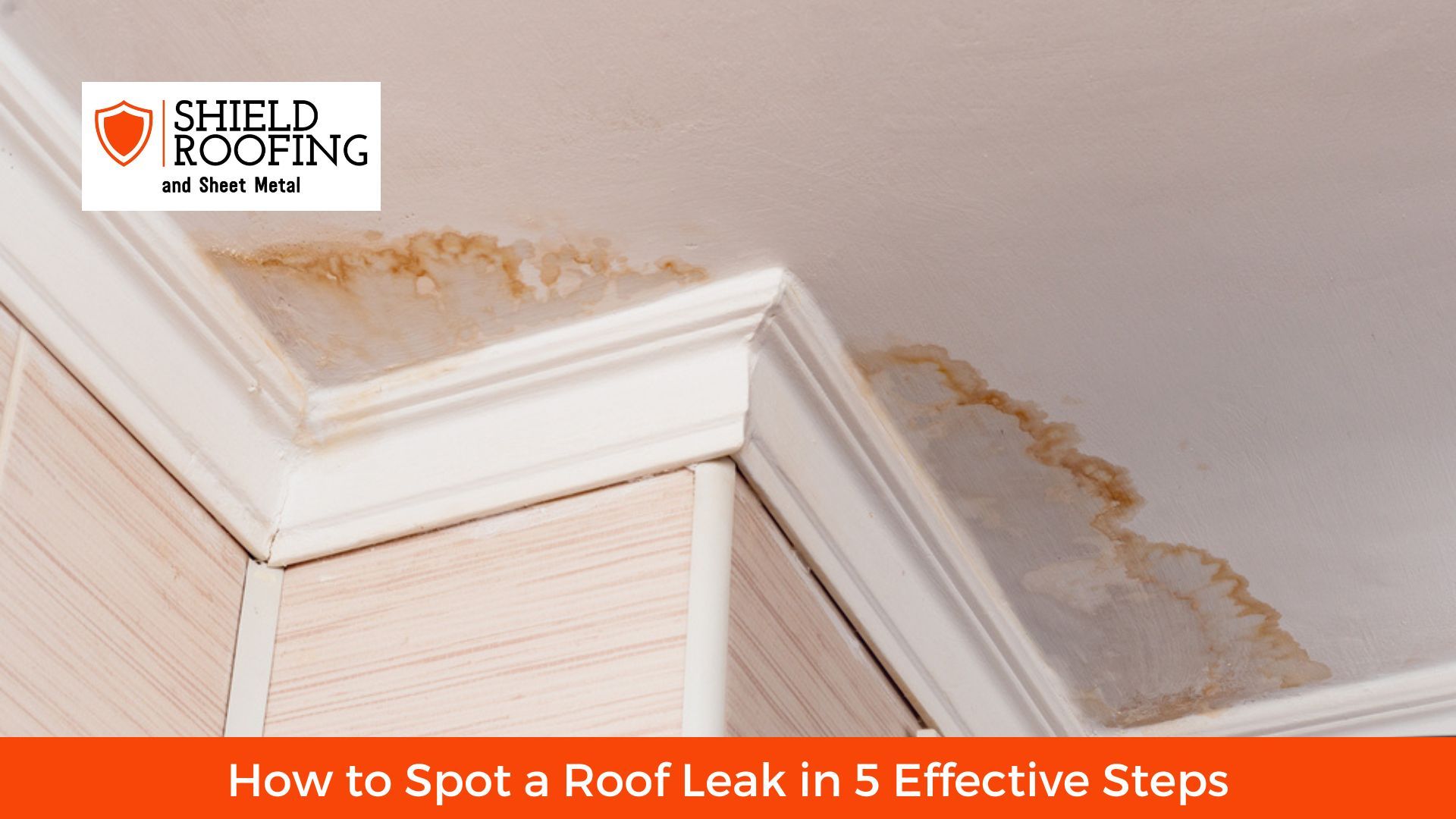 How to Spot a Roof Leak