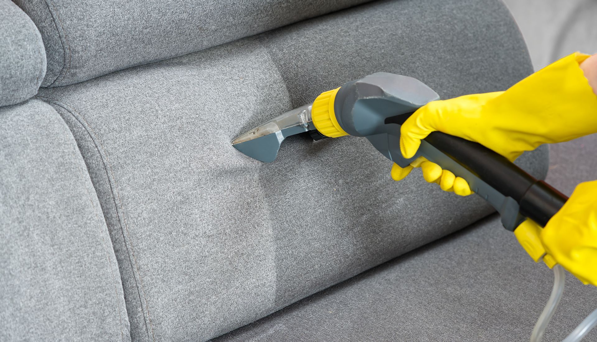 A golden retriever dog stands on a leafy, wooded path while holding a long stick in its mouth.