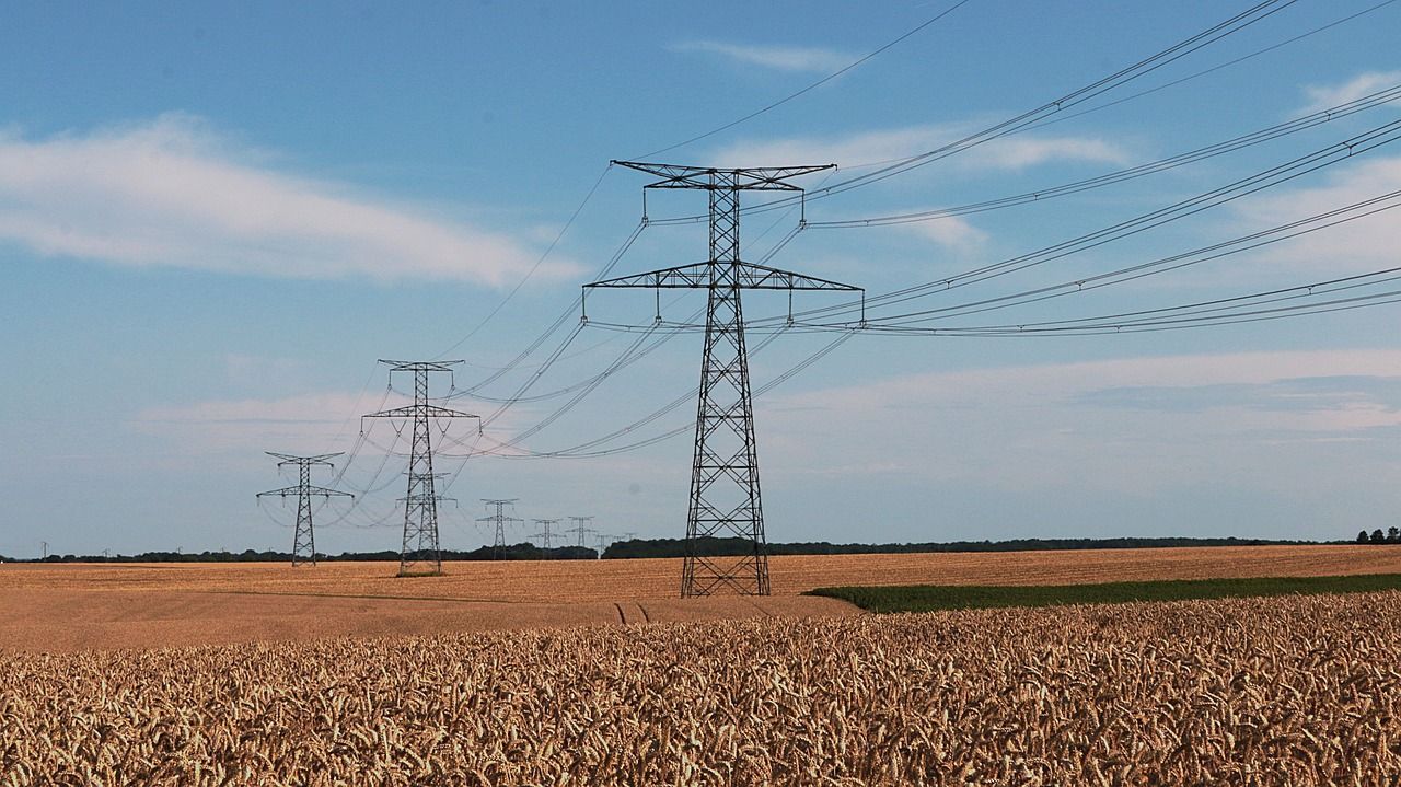 Una hilera de líneas eléctricas que atraviesan un campo de maíz.