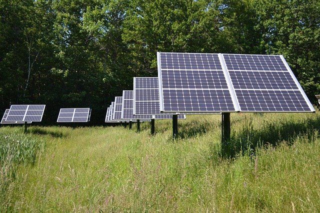 Una fila de paneles solares se encuentra en un campo de hierba.