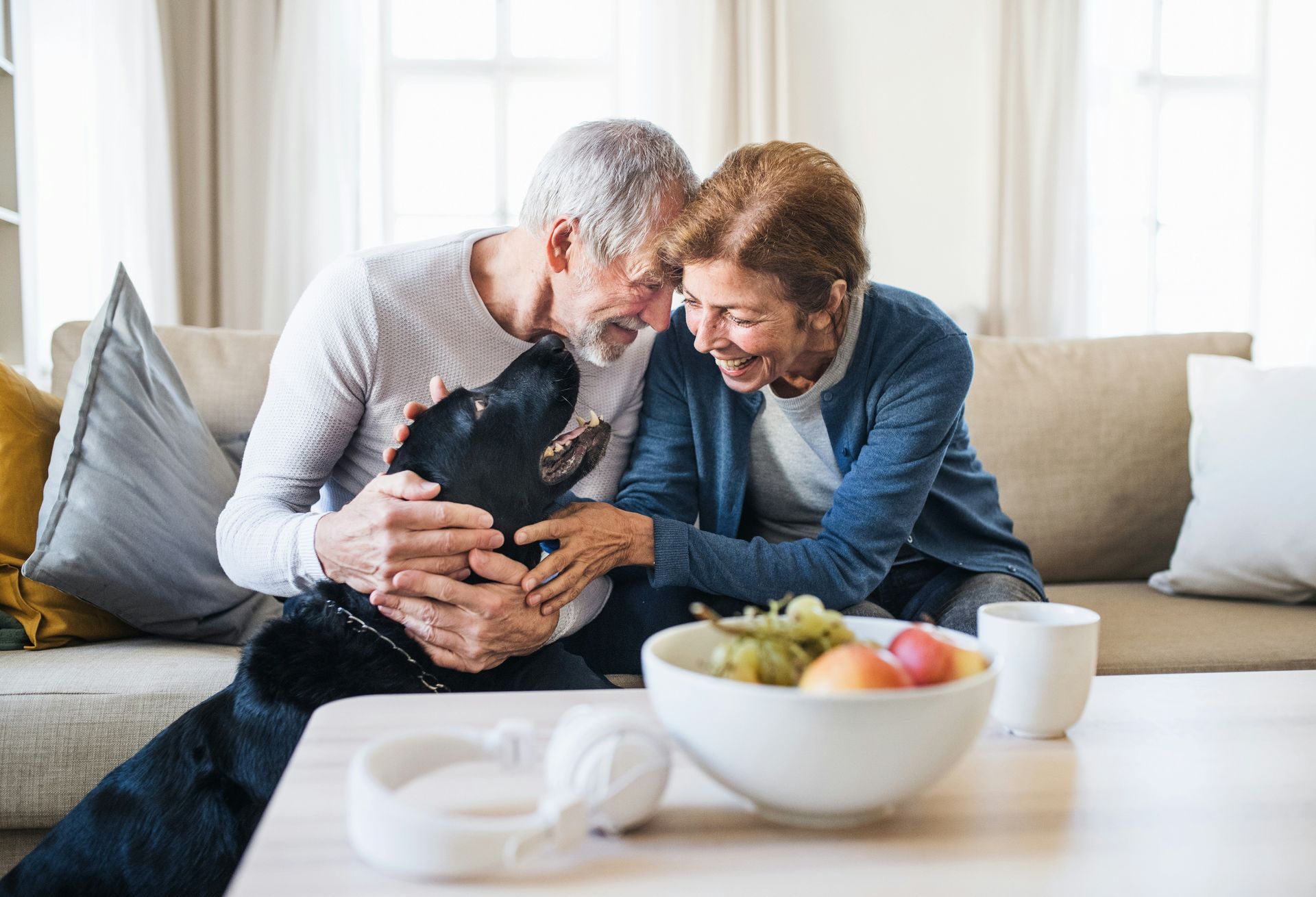 Elderly couple happily petting a black dog on a couch, indoors. A bowl of fruit and mug sit on a table.