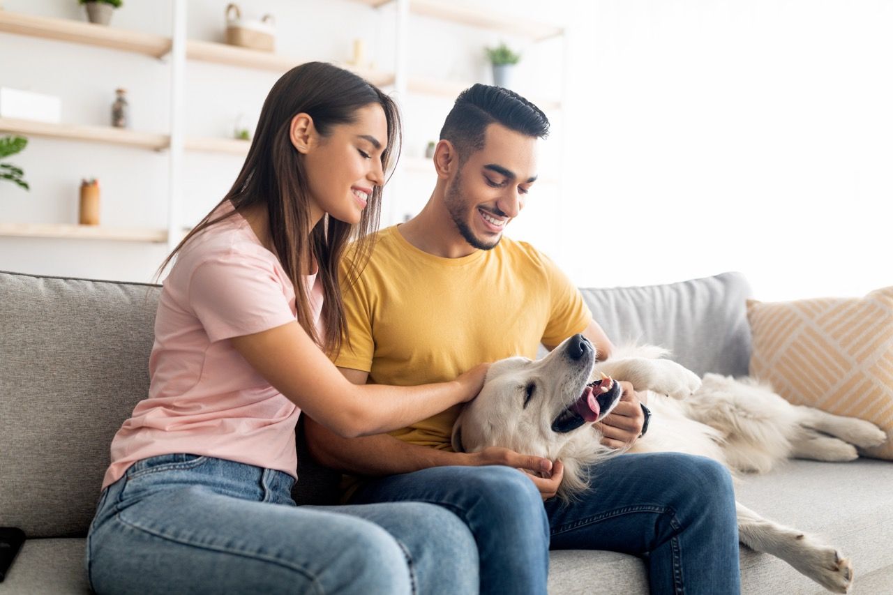 Couple sitting on a couch petting a small dog in a bright living room.