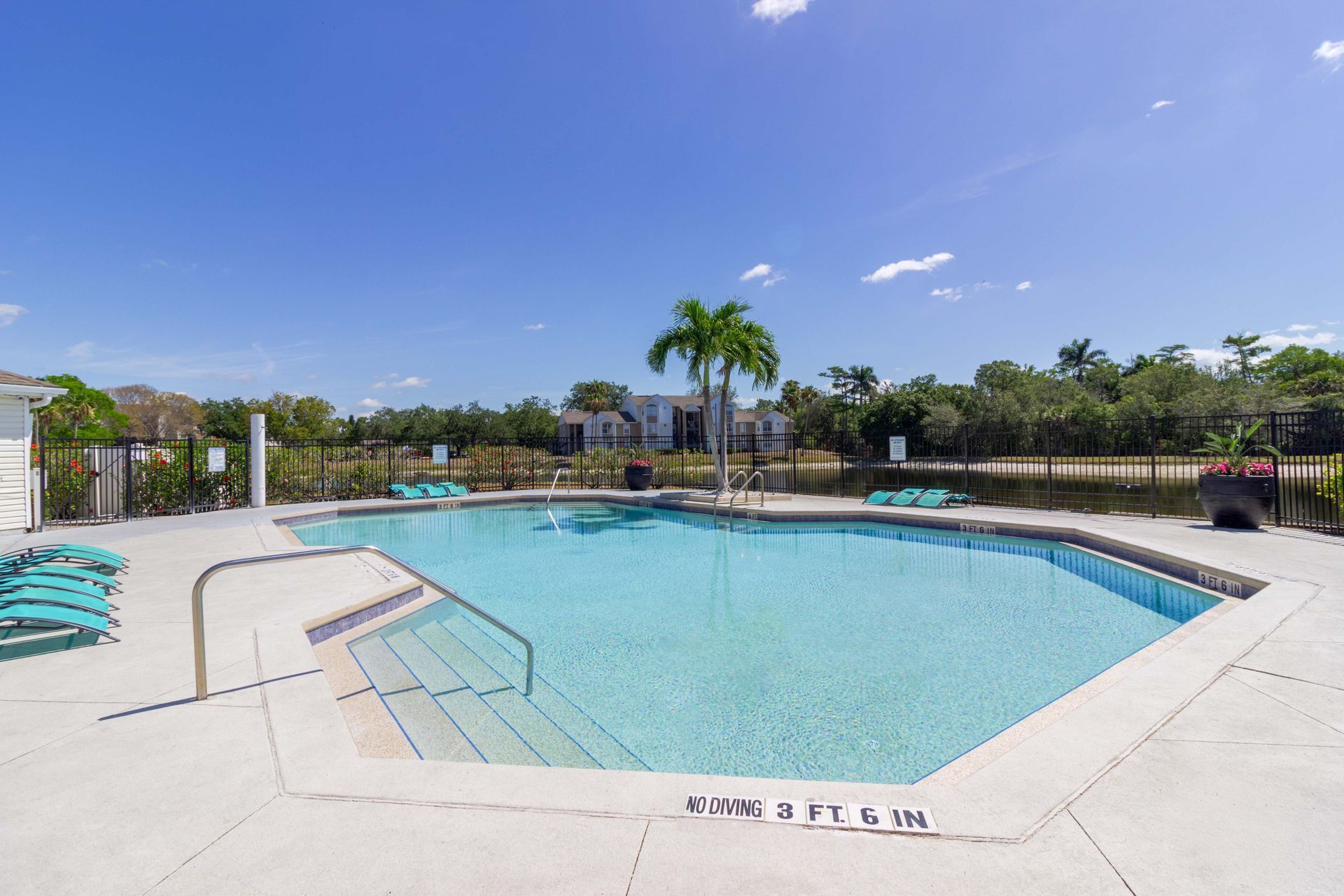 A swimming pool on a sunny day. Lounge chairs, a palm tree, and blue sky at The Point at Naples in Naples, FL.