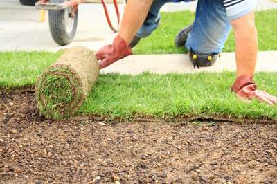 Sod and Seeding — Landscape Services in Anoka, MN