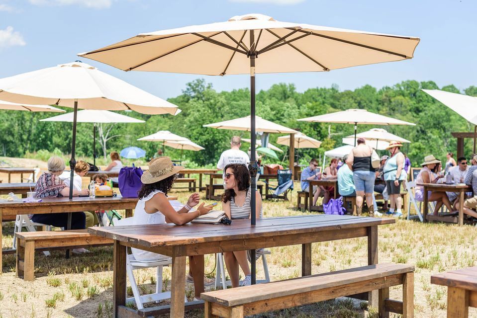 A group of people are sitting at picnic tables under umbrellas in a field.