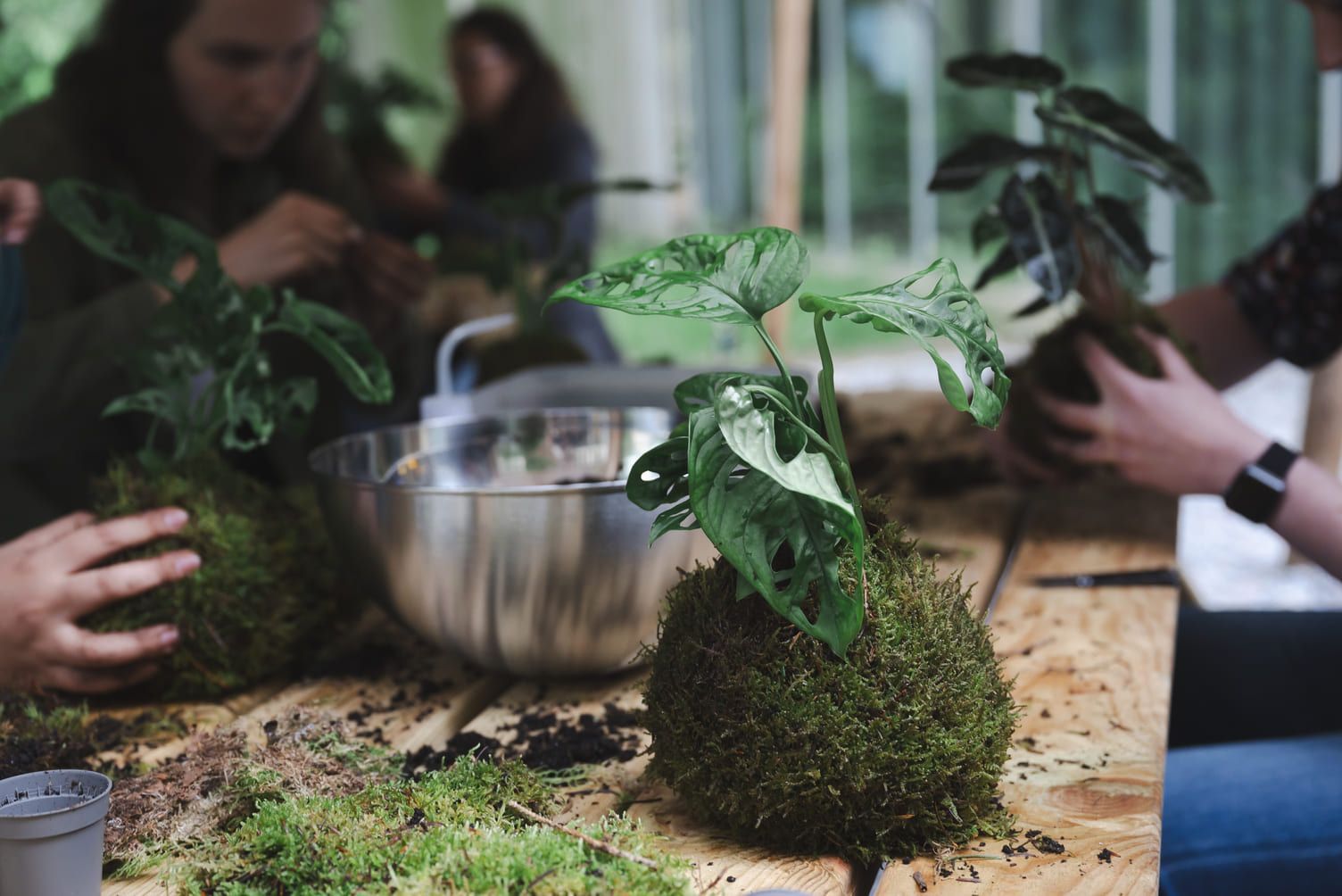 A group of people are sitting around a table planting plants.